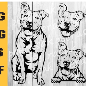 Pitbull Svg, American Pit Bull Svg, Pitbull Clipart, Pitbull Vector, Pitbull Cricut, Dog Paw Svg, Svg, Png, Eps, Dxf, Cutting File Download