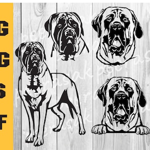 English Mastiff dog svg, peeking Head paws, breed, png, printable cuttable English Mastiff cut file digital