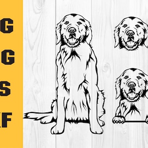 Golden Retriever SVG, Goldie Clipart, dog svg files for Cricut, funny, Printable art, vector vinyl shirt designs