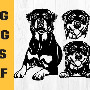 Puede incluir: Silueta en blanco y negro de un perro Rottweiler en tres poses diferentes. El perro está sentado, mirando hacia adelante y mirando hacia un lado con la lengua afuera. El perro está en una pose juguetona, mirando hacia un lado con la lengua afuera.