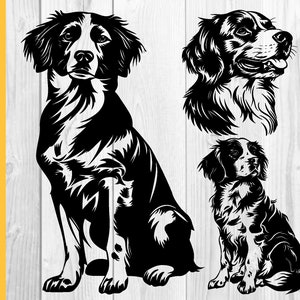 Brittany Spaniel svg, Dog svg files for cricut, Cute Face Head, Hunting breed DXF vector, Brittany Spaniel Dog svg, Brittany Dog svg