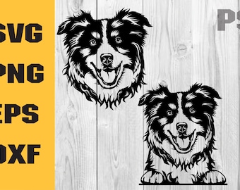 Australian shepherd svg, Aussie Svg, Australian Shepherd Decal Svg, Digital Download Clipart SVG