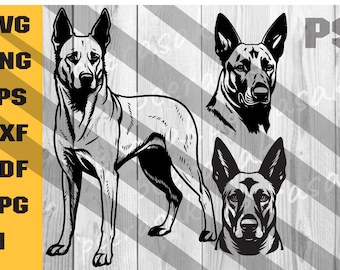 Belgian Malinois Svg, dog svg file for cricut, funny Face, breed vector, clipart, PNG Clipart Vector Cricut Cut Cutting
