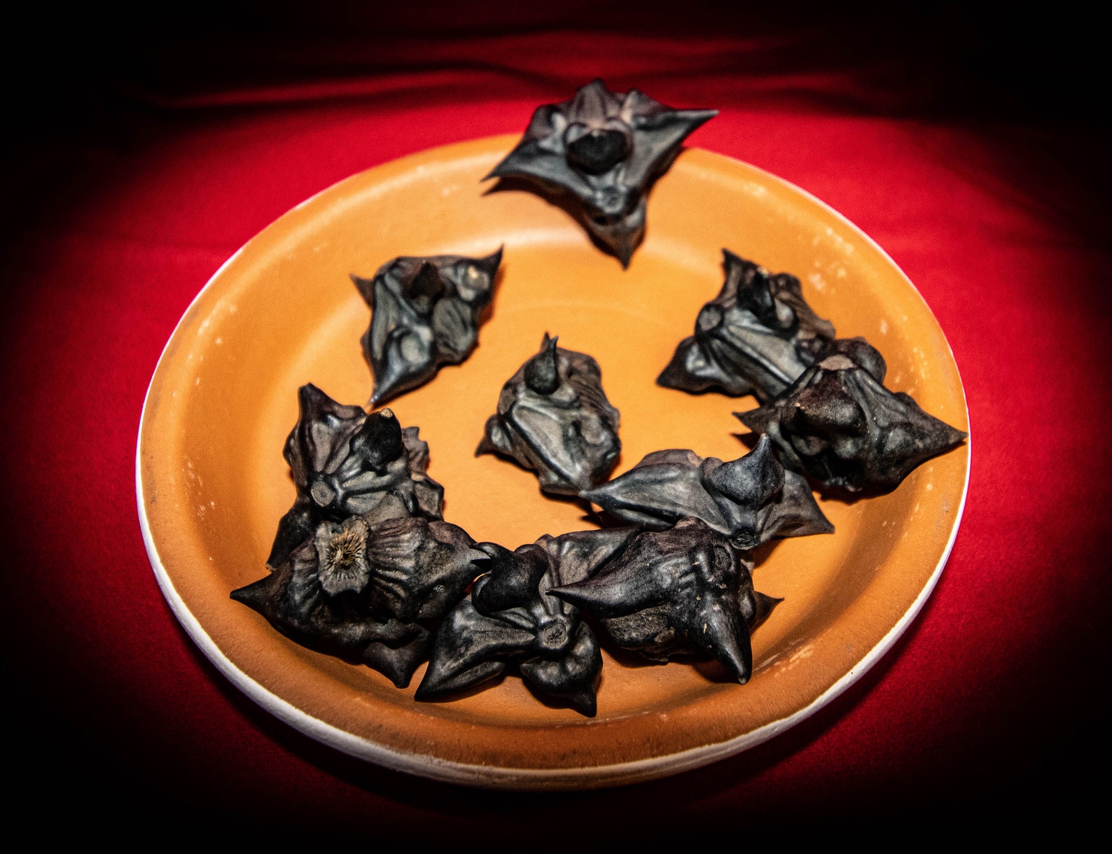 50 Water Chestnut Seeds Bat Nuts Devil Pod Seeds Caltrop Etsy Australia