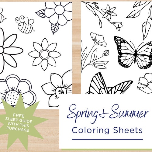 spring flowers butterflies bees summer coloring sheets etsy