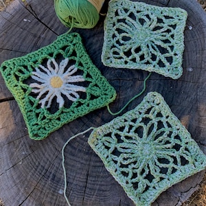 Patrón cuadrado de abuela Lacy Daisy