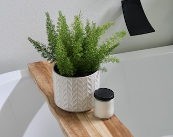 6" Foxtail | (Asparagus Meyeri) Fern | Hardy Fern | Live Plant