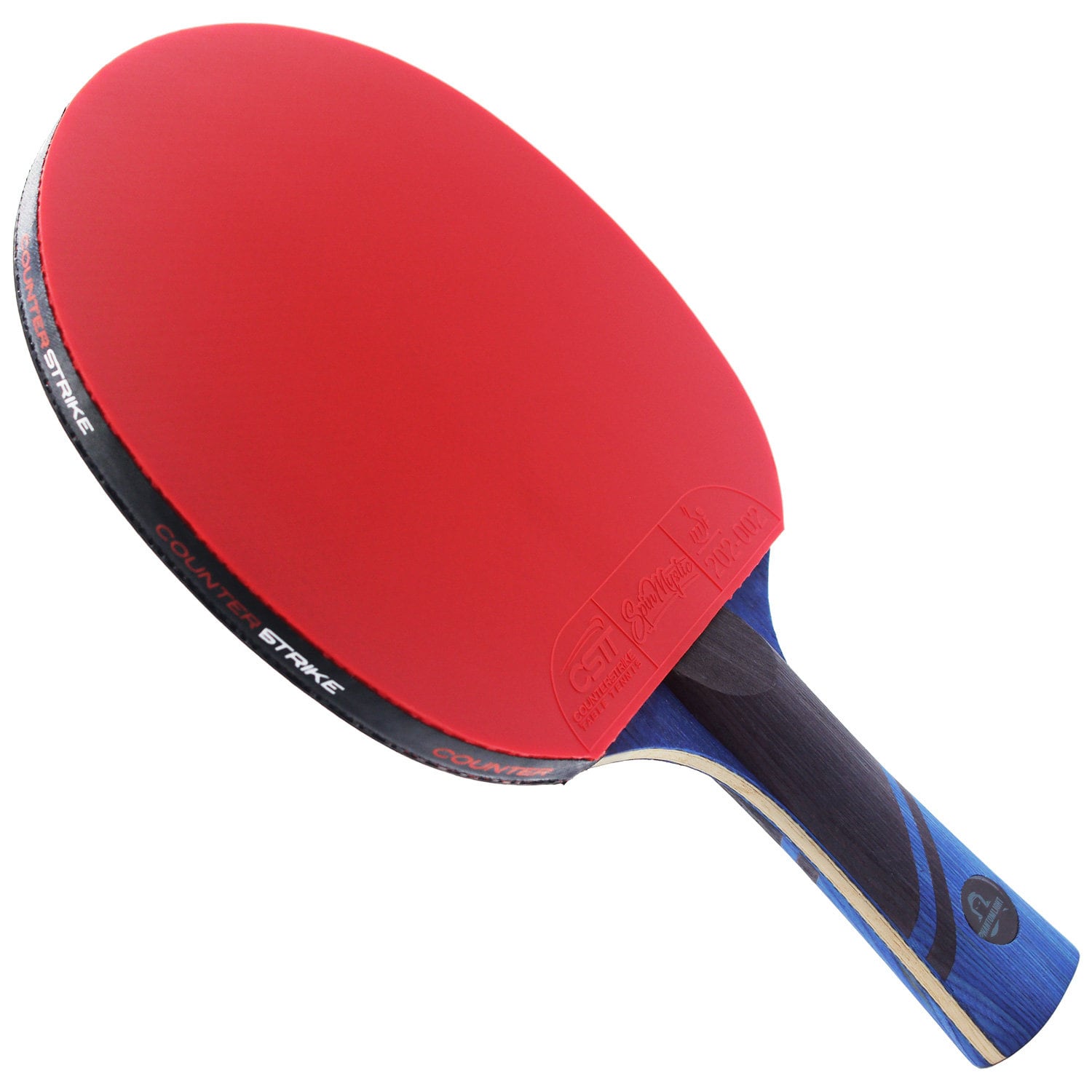 Raquette de Tennis de Table Professionnelle avec étui, Approuvé par ITTF  Pingpong Raquette Paddle avec 9-Ply Bois et 8 Couches Lame de Carbone :  : Sports et Loisirs