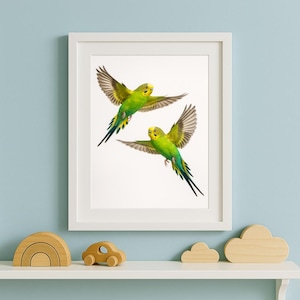 Druckbare Wellensittich Kunst - A4 А3 Digital Download - Lebendige Wellensittich Illustration