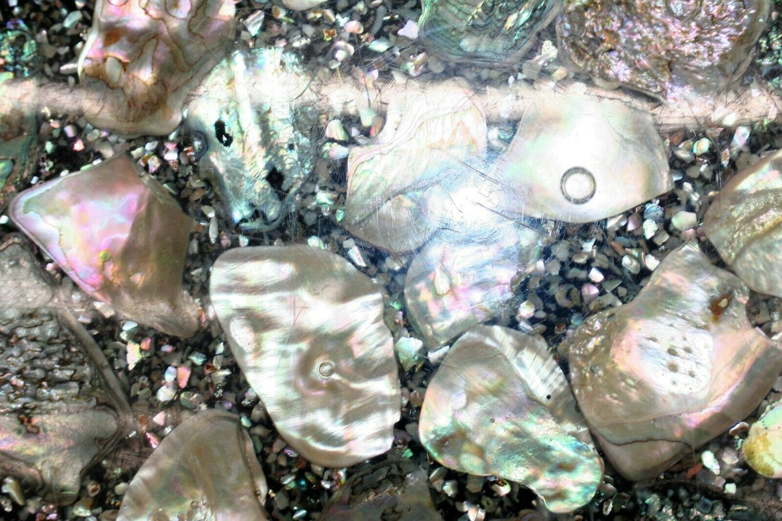 Vintage Acryl Lucite Abalone Perlmutt Faul Susan Muscheln | Etsy