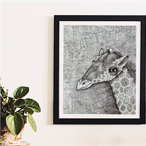 The Giraffe. Original Pen And Ink Illustration