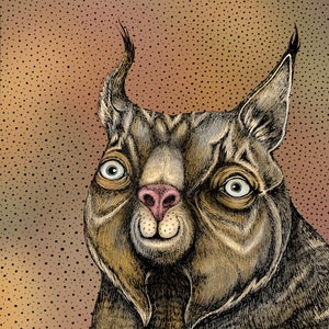 The Bobcat (color). Fine Art Matte Print of Original Pen & Ink Illustration digitally colored on Archival Paper