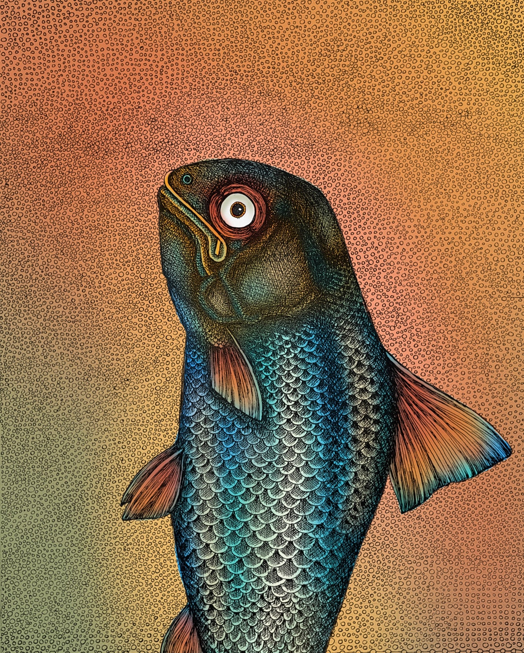 The Fish. Fine Art Matte Print of an Original Pen and Ink Etsy