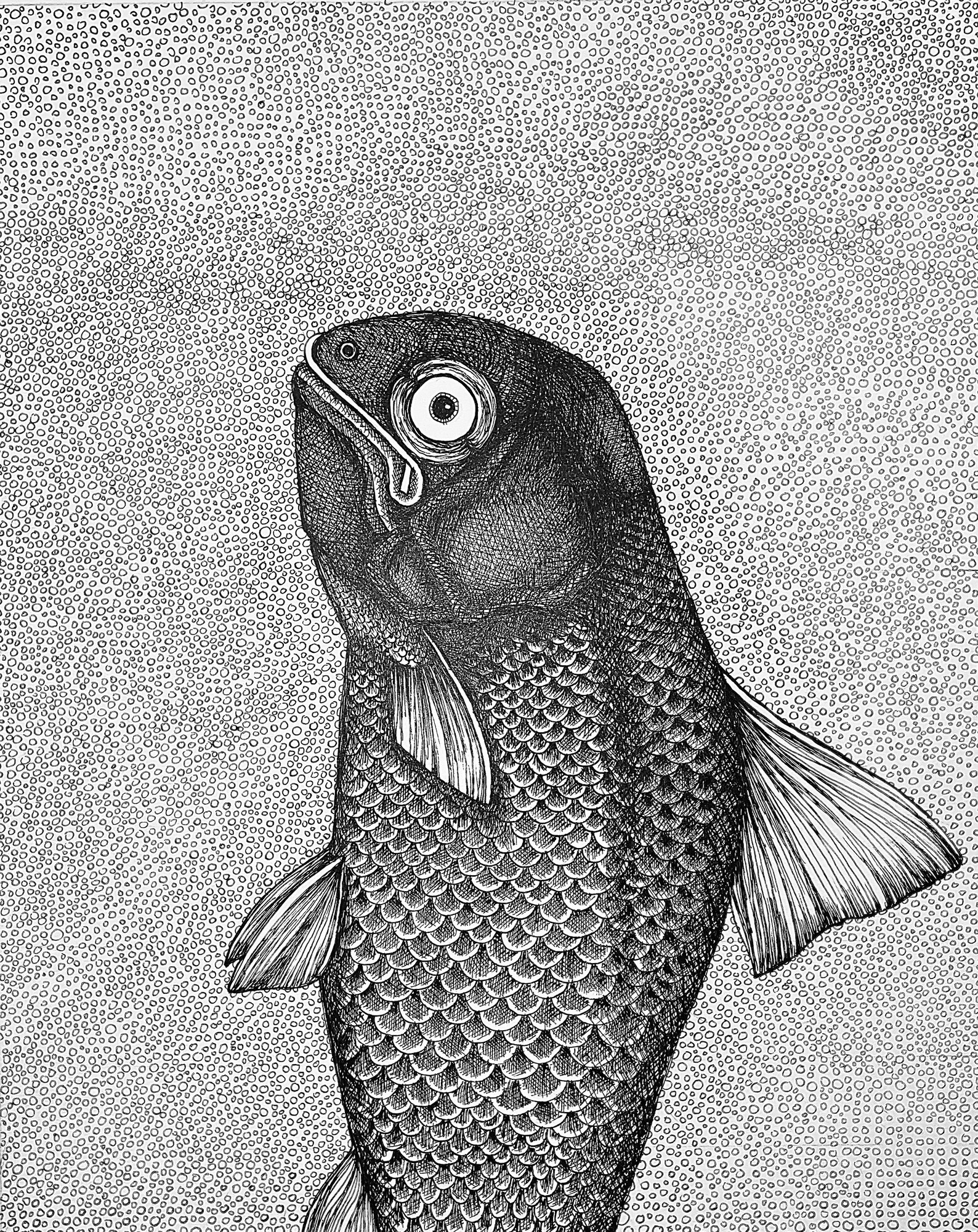 The Fish. Original Pen and Ink Illustration Etsy