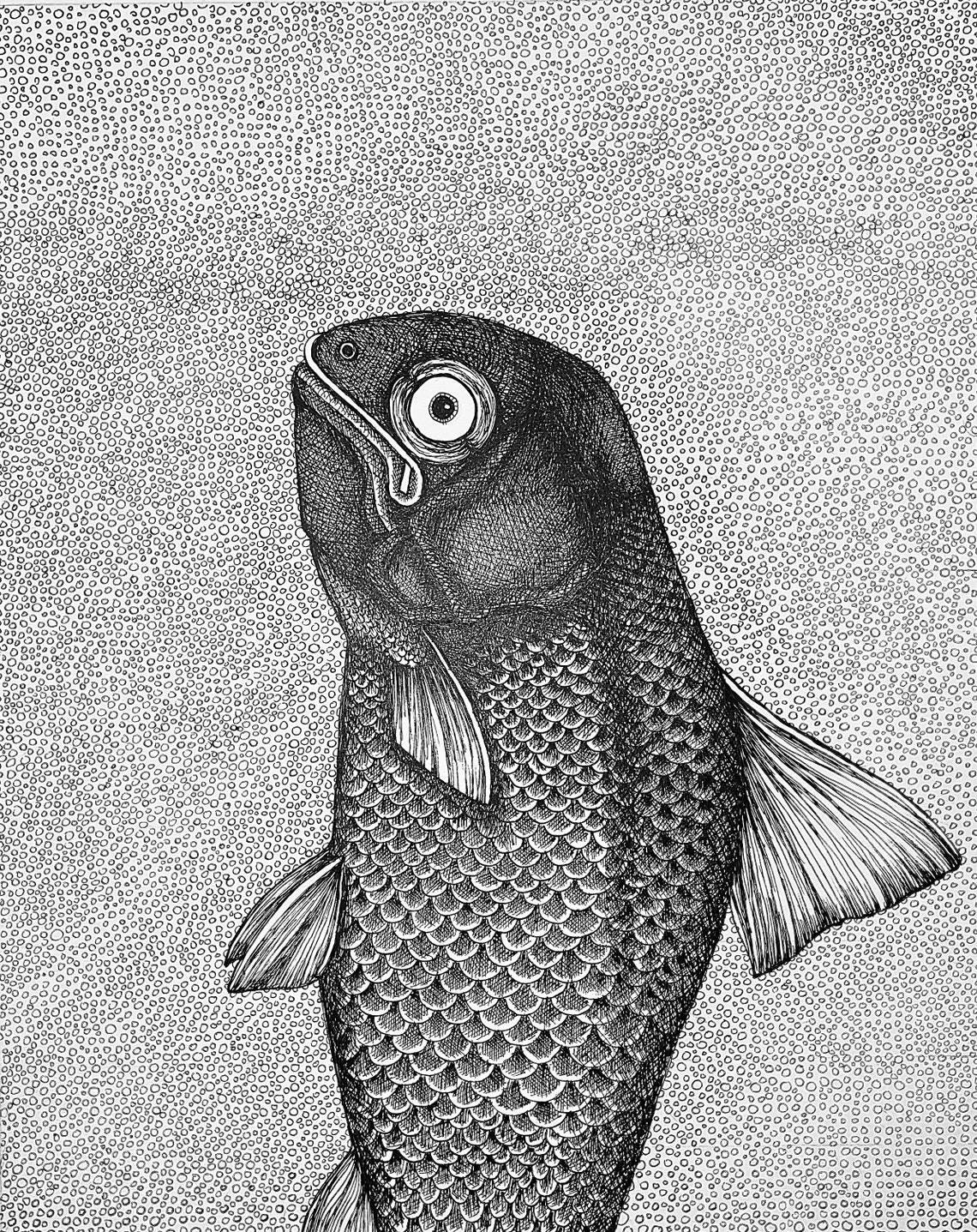 The Fish. Fine Art Matte Print of an Original Pen and Ink Illustration