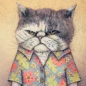 Peut inclure: Un chat à l'air grognon portant une chemise à fleurs colorée. Le chat a une tache blanche sur la poitrine et une expression sérieuse sur son visage.
