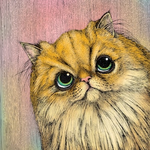 Peut inclure: Gros plan sur un chat à poils longs et duveteux aux yeux verts. Le chat a un pelage brun clair et doré et regarde directement le spectateur.