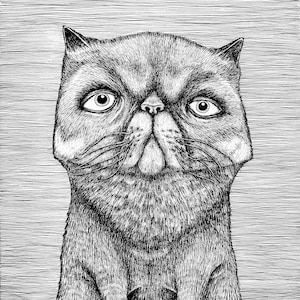 Peut inclure: Dessin au trait noir et blanc d'un chat avec une expression surprise. Le chat a de grands yeux ronds et une bouche grande ouverte. La fourrure du chat est dessinée en détail, avec des poils individuels visibles. L'arrière-plan est un motif rayé simple.