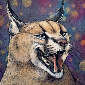 Peut inclure: Un gros plan d'un lynx avec la bouche ouverte, montrant ses dents. Le lynx a des yeux verts et un pelage brun clair. L'arrière-plan est un flou violet et bleu avec des points blancs.