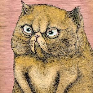 Peut inclure: Gros plan sur un chat à poil court brun clair à l'air grognon avec des yeux verts. Le chat a un visage plat et un nez ridé. Le chat regarde vers la gauche de l'image.