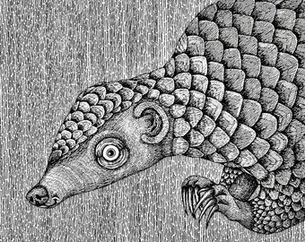 The Pangolin. Fine Art Matte Print of an Original Pen and Ink Illustration on Archival Paper