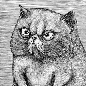 Peut inclure: Illustration en noir et blanc d'un chat au regard renfrogné. Le chat, avec ses sourcils froncés et ses grands yeux, semble bouder. Le dessin, réalisé en hachures croisées, met en valeur les détails du pelage et des traits du visage.