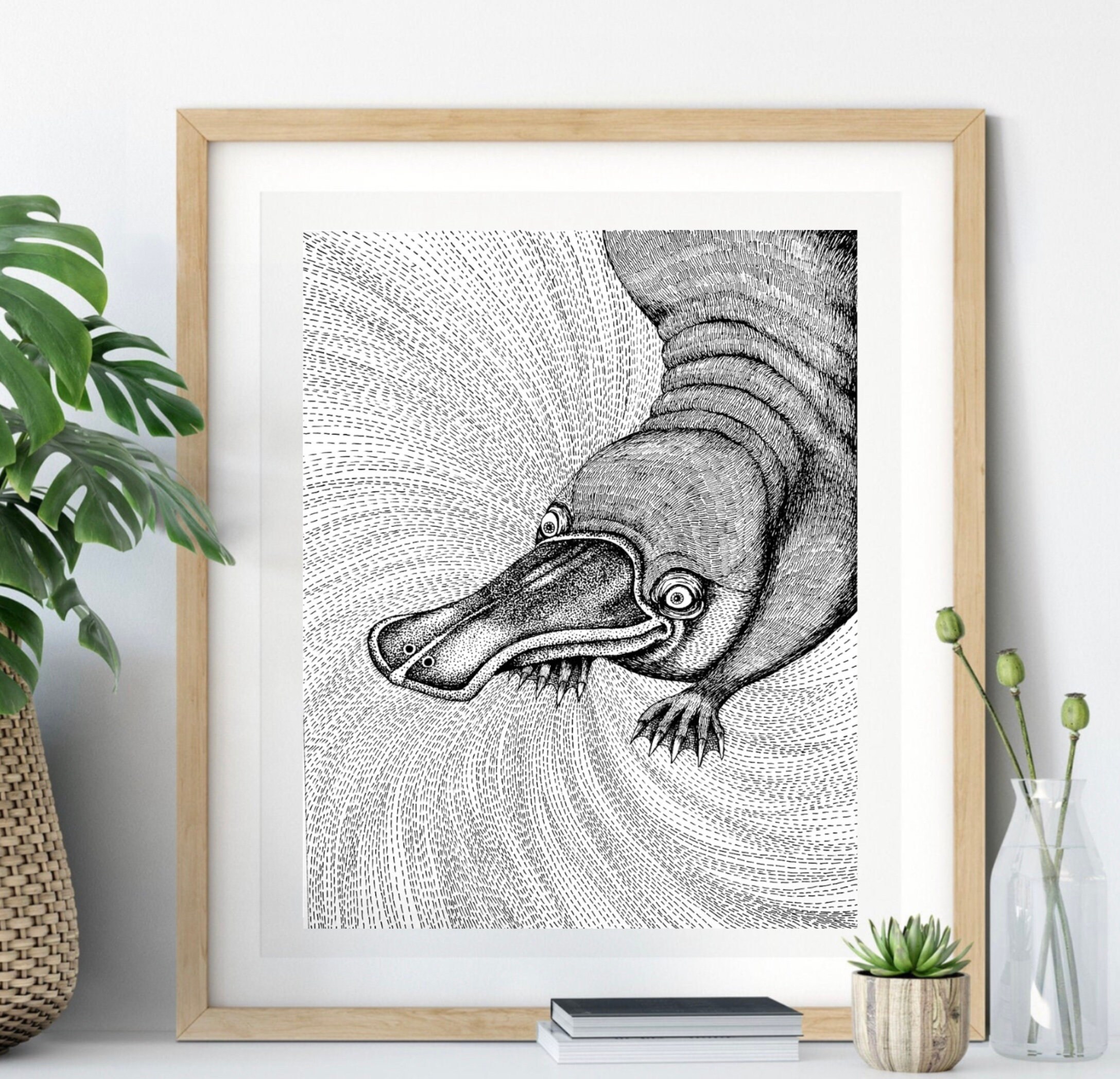 The Platypus. Fine Art Matte Print of an Original Pen and Ink Etsy Canada