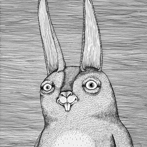 The Rabbit. Fine Art Matte Print of an Original Pen and Ink Illustration on Archival Paper
