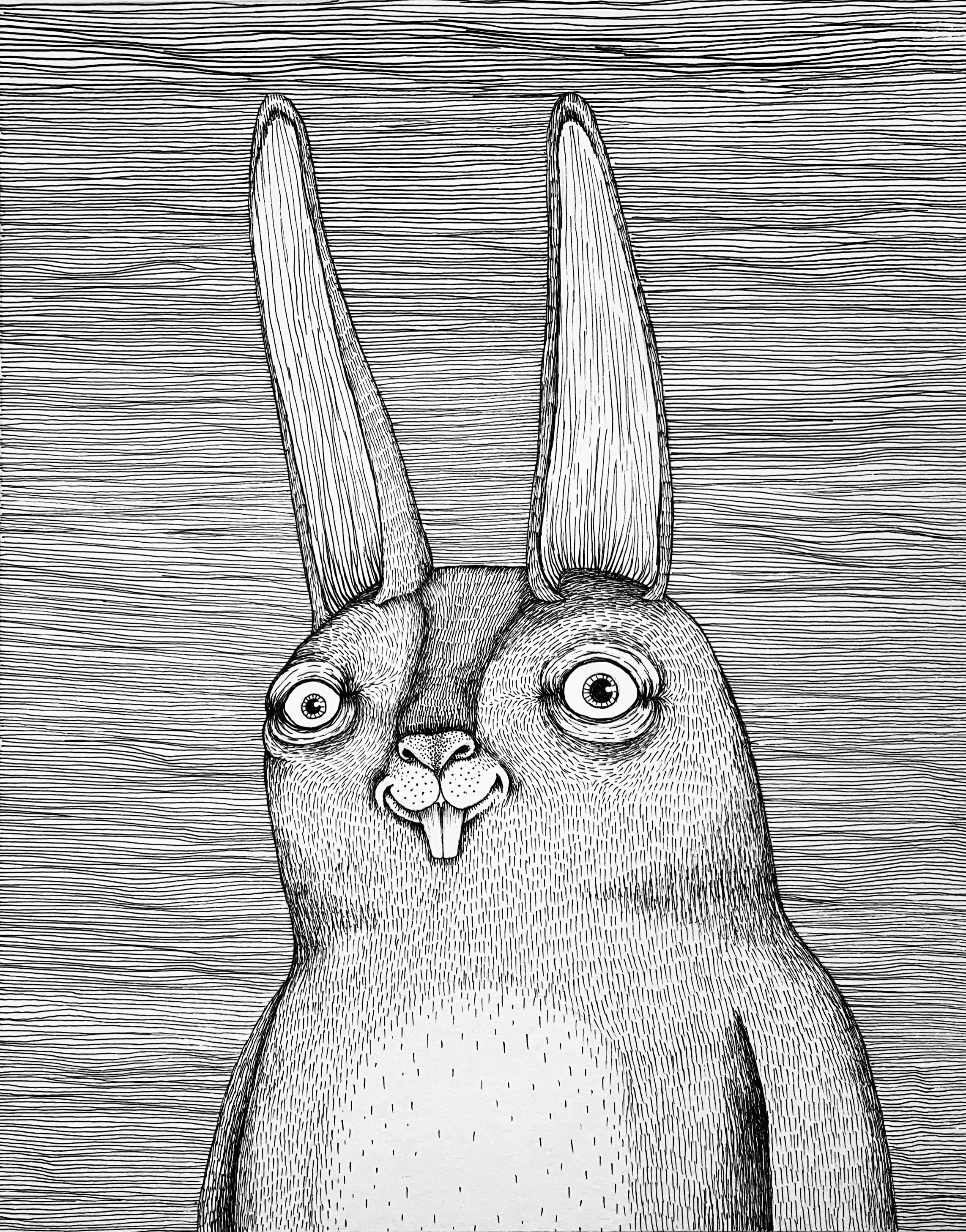 The Rabbit. Fine Art Matte Print of an Original Pen and Ink Illustration on Archival Paper