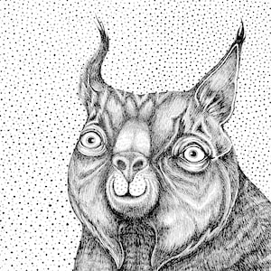 The Bobcat. Fine Art Matte Print of Original Pen & Ink Illustration on Archival Paper