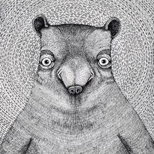 Der Bär. Fine Art Matte Druck einer Original-Stift- und Tintenillustration auf Archivpapier.