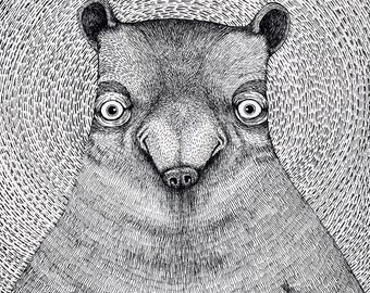 The Bear. Fine Art Matte Print of an Original Pen and Ink Illustration on Archival Paper.