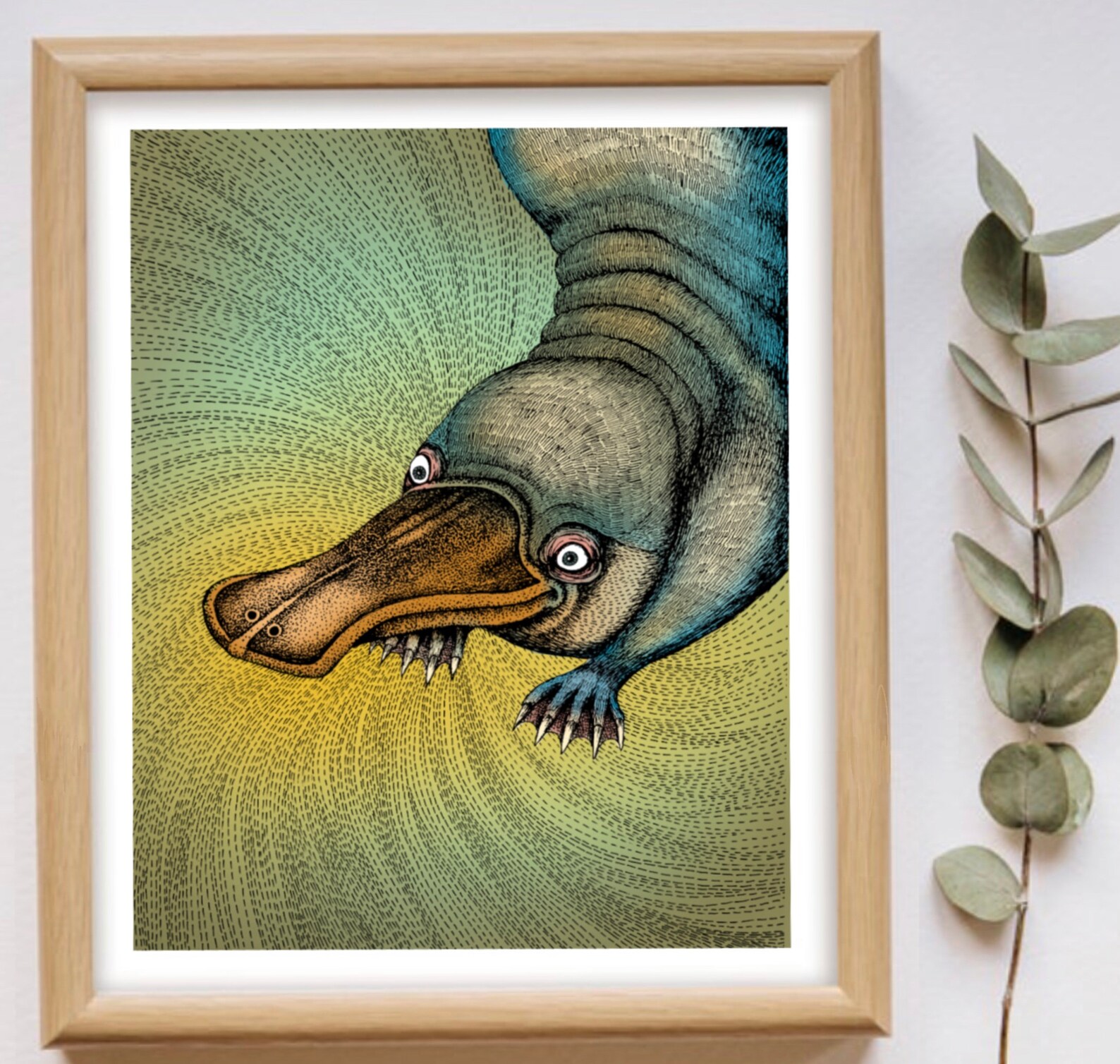 The Platypus. Fine Art Matte Print of an Original Pen and Ink Etsy