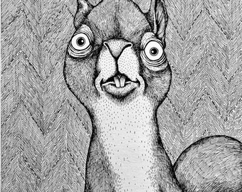 De Eekhoorn. Fine Art Matte Print van een originele pen en inkt illustratie op archiefpapier