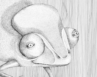 The Chameleon. Fine Art Matte Print of Original Illustration on Archival Paper