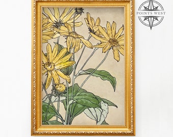 Sunflowers Watercolor - Hannah Borger Overbeck - Digital Art Print