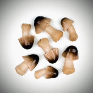 May include: A collection of eight brown and black mushrooms with white stems. The mushrooms are arranged on a white surface.