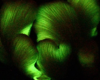 Armillaria nabsnona Mushroom Liquid Culture, Bioluminescent Western Honey Mushroom