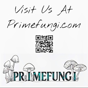 May include: White background with the text "Visit Us At Primefungi.com" in black cursive. A QR code is centered below the text. Below the QR code is the word "PRIMEFUNGI" in teal, with mushroom illustrations on either side.