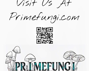 New Zealand Shiitake Mushroom Liquid Culture, Lentinula novae-zelandiae