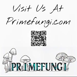 May include: White background with the text "Visit Us At Primefungi.com" in a handwritten font. A QR code is centered below the text. The bottom of the image features a graphic of mushrooms and the text "PRIMEFUNGI" in teal.