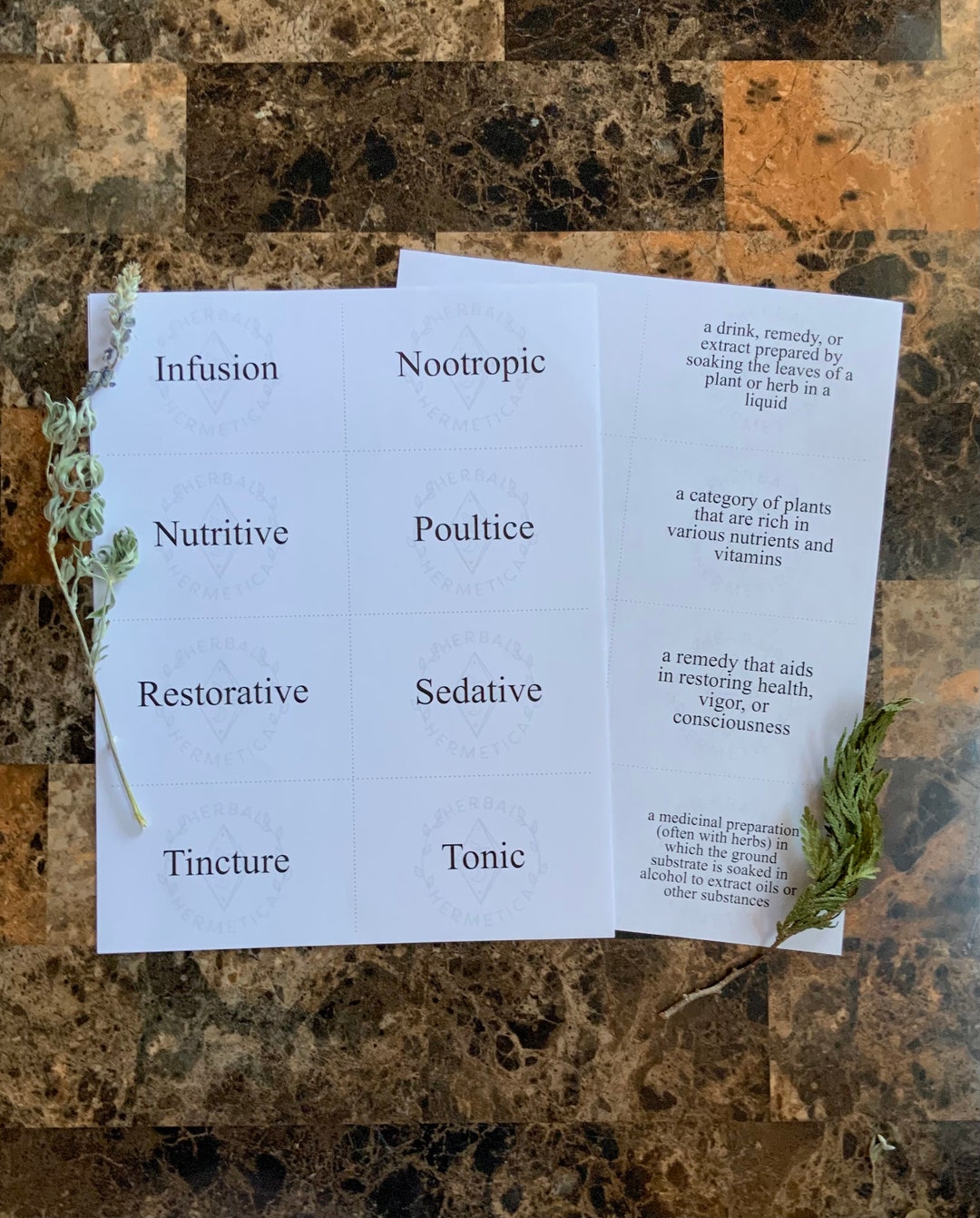 Herbal Flashcards 112 Piece Set Clinical Herbalism Vocabulary Beginner Herbalist Educational