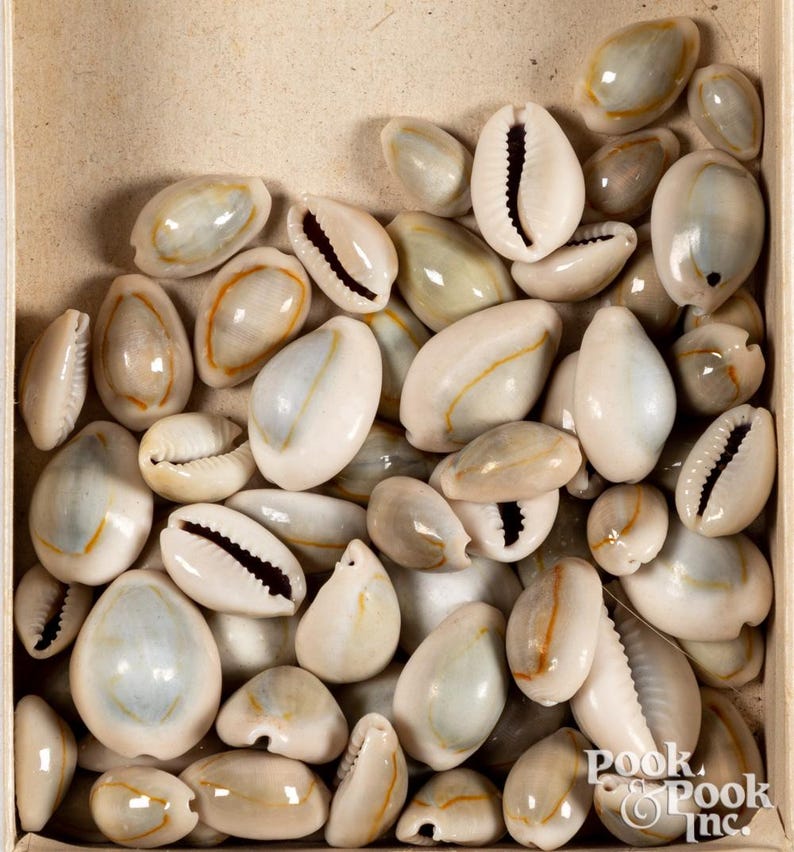 Cheyenne Woman's Regalia Leather & Cowrie Shell Dress for Pot-latch and ...