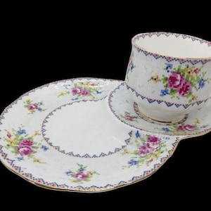 May include: A white teacup and saucer with a floral pattern. The saucer has a small indentation for the teacup to sit in.