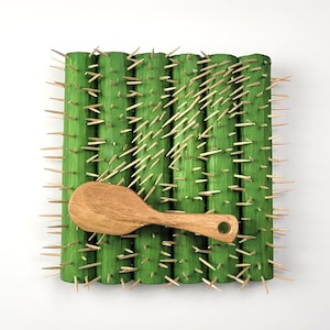 Gesneden wanddecoratie, gangmuurornament, houten cactussculptuur, bas-reliëf, haarborstel gemengd met cactus, cactusgrap,