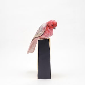 Wooden bird, handcrafted wood carving, decorative statue for the bird lover, Sinai Rosefinch,