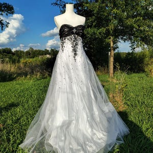 Cache Beaded Dress