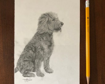 Custom Dog Portrait