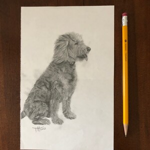 Custom Dog Portrait