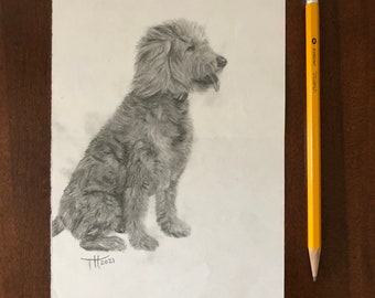 Custom Dog Portrait